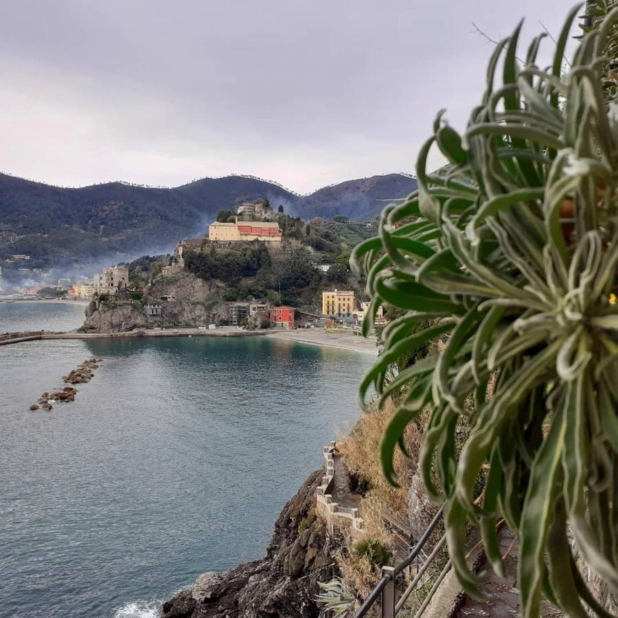 Appartamento I Pesci มอนเตรอสโซ อัล มาเร ภายนอก รูปภาพ